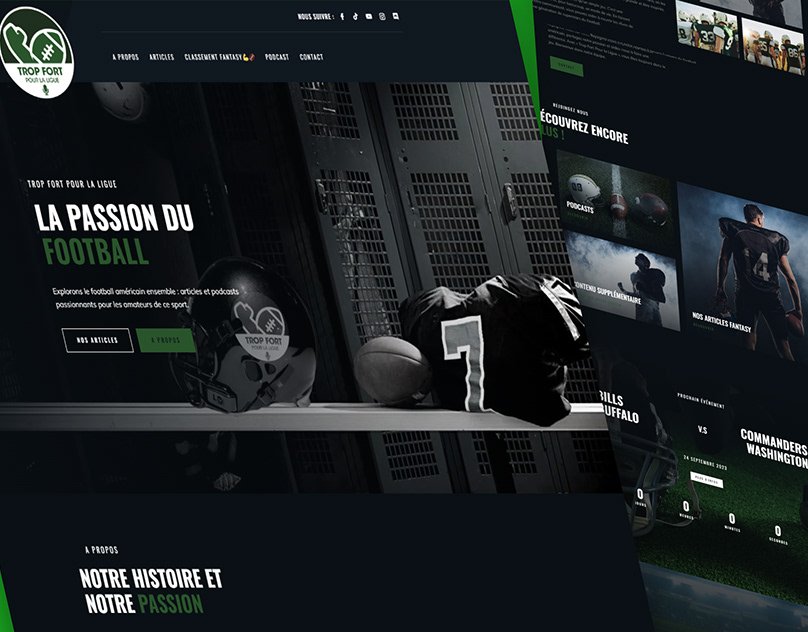 Syed Haris Ali Web Development Project